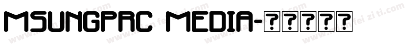 msungprc media字体转换